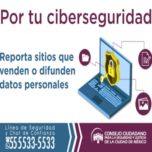 ALERTA CONSEJO CIUDADANO POR VENTA DE DATOS PERSONALES EN INTERNET